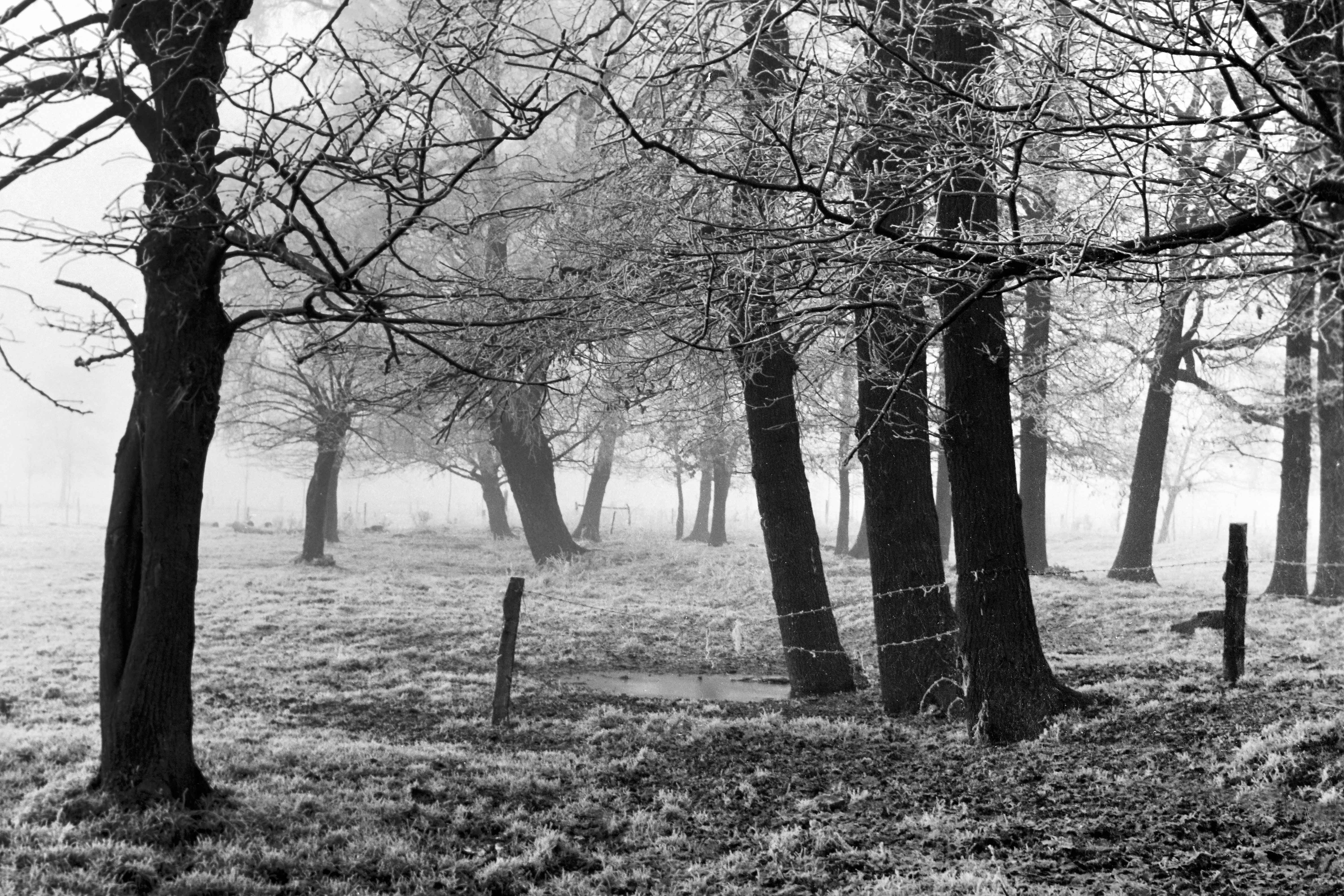 Willi Schloßmacher, Tauwetter, 1954-1960, © Willi Schloßmacher